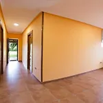 Paula *
